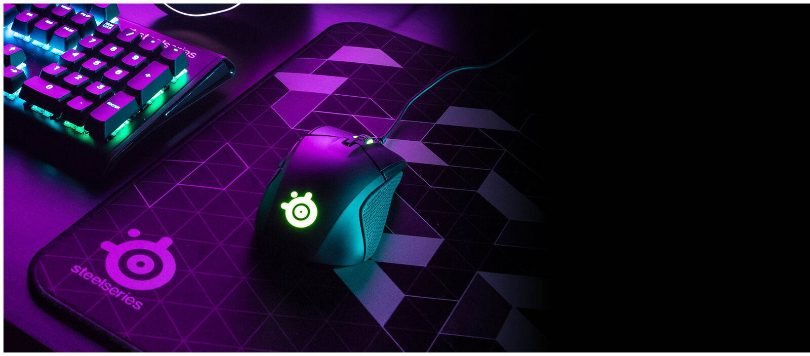 Steelseries 62433 Rival 310 Gaming Mouse Accs