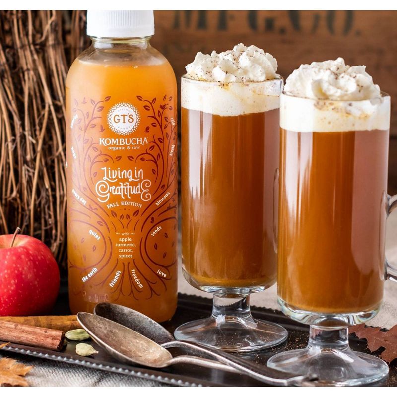 Sol-ti Chlorophyll Aloe SuperAde - 14.9 fl oz