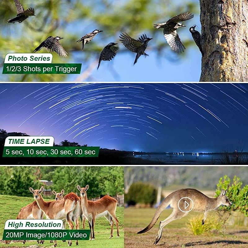 20MP Wildlife Trail Camera with 32GB Card Included Game Camera