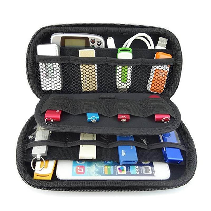 Multifunction Big Capability USB Flash Hard Drives Case Bag for U Disk USB Drive SD Memory Card with Credit Card Slot Holder Blue