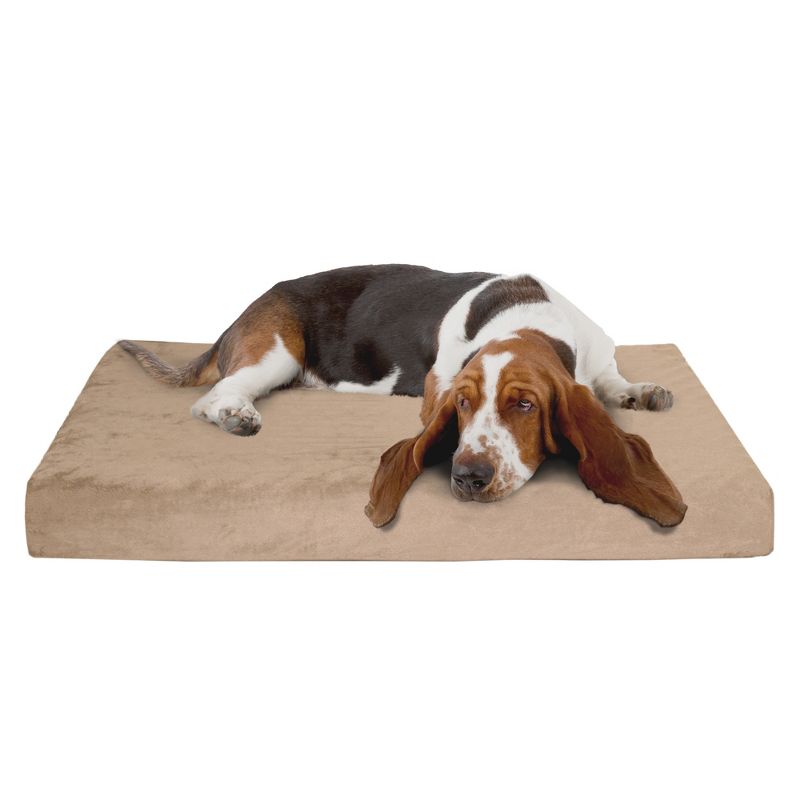 Petmaker Orthopedic Memory Foam Dog Bed with Removable Cover - Large