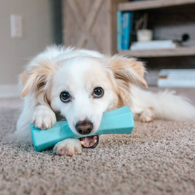 Playology Peanut Butter Scent Chew Stick Dog Toy - Blue - M