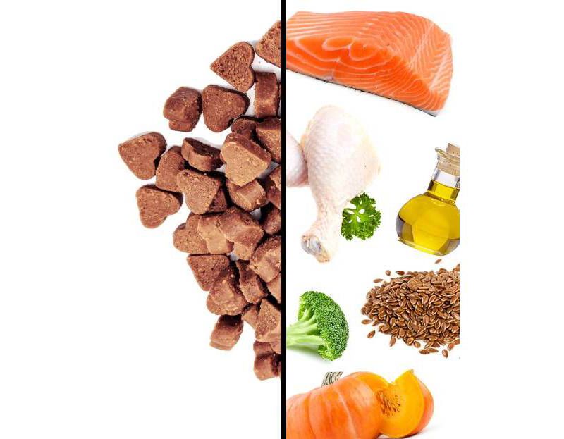 I and Love and You Hair Meowt Hearties Grain Free Salmon Recipe Cat Treats - 4oz