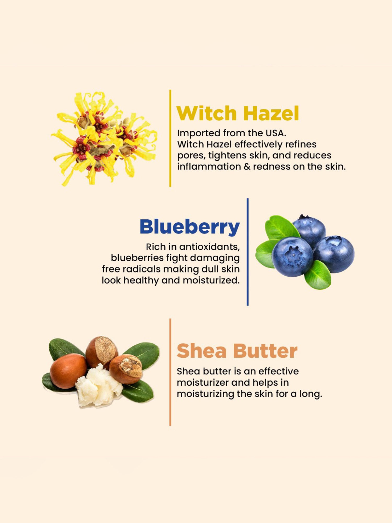 The Skin Story Blueberry & Shea Butter Revitalizing Face Wash - 100 ml