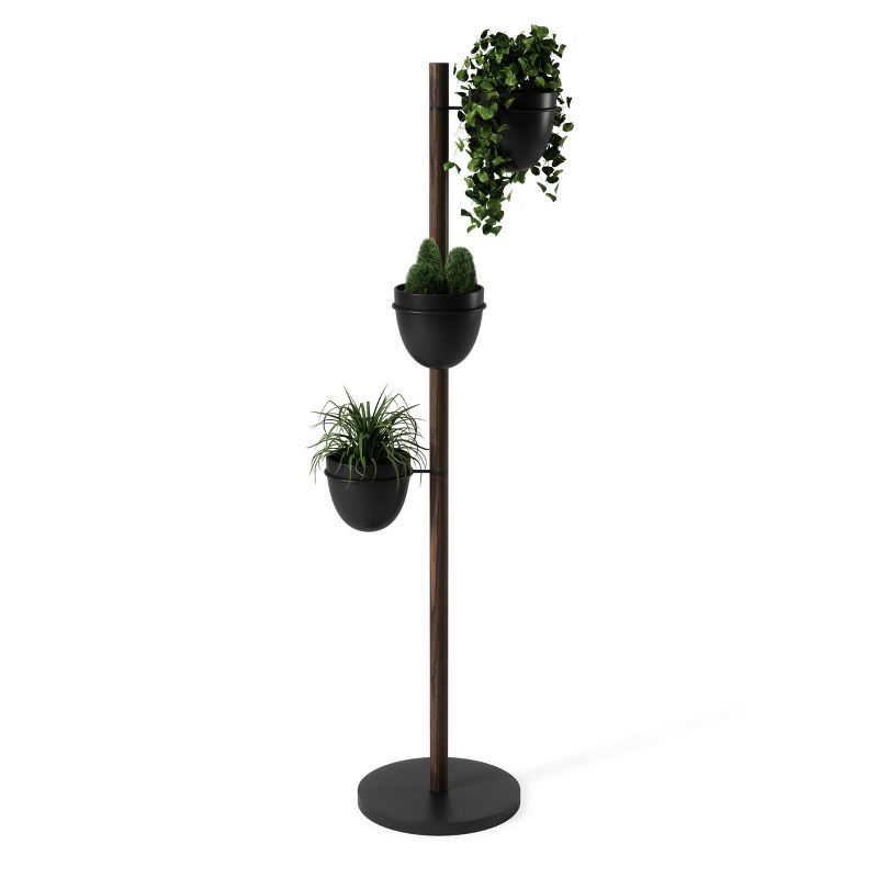 Floristand Freestanding Planter Black/Walnut - Umbra