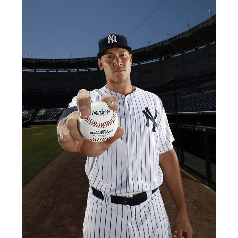 Rawlings MLB Official League Baseball with Case and Stand