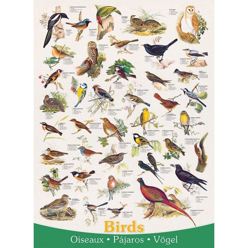 Eurographics Inc. Birds 1000 Piece Jigsaw Puzzle