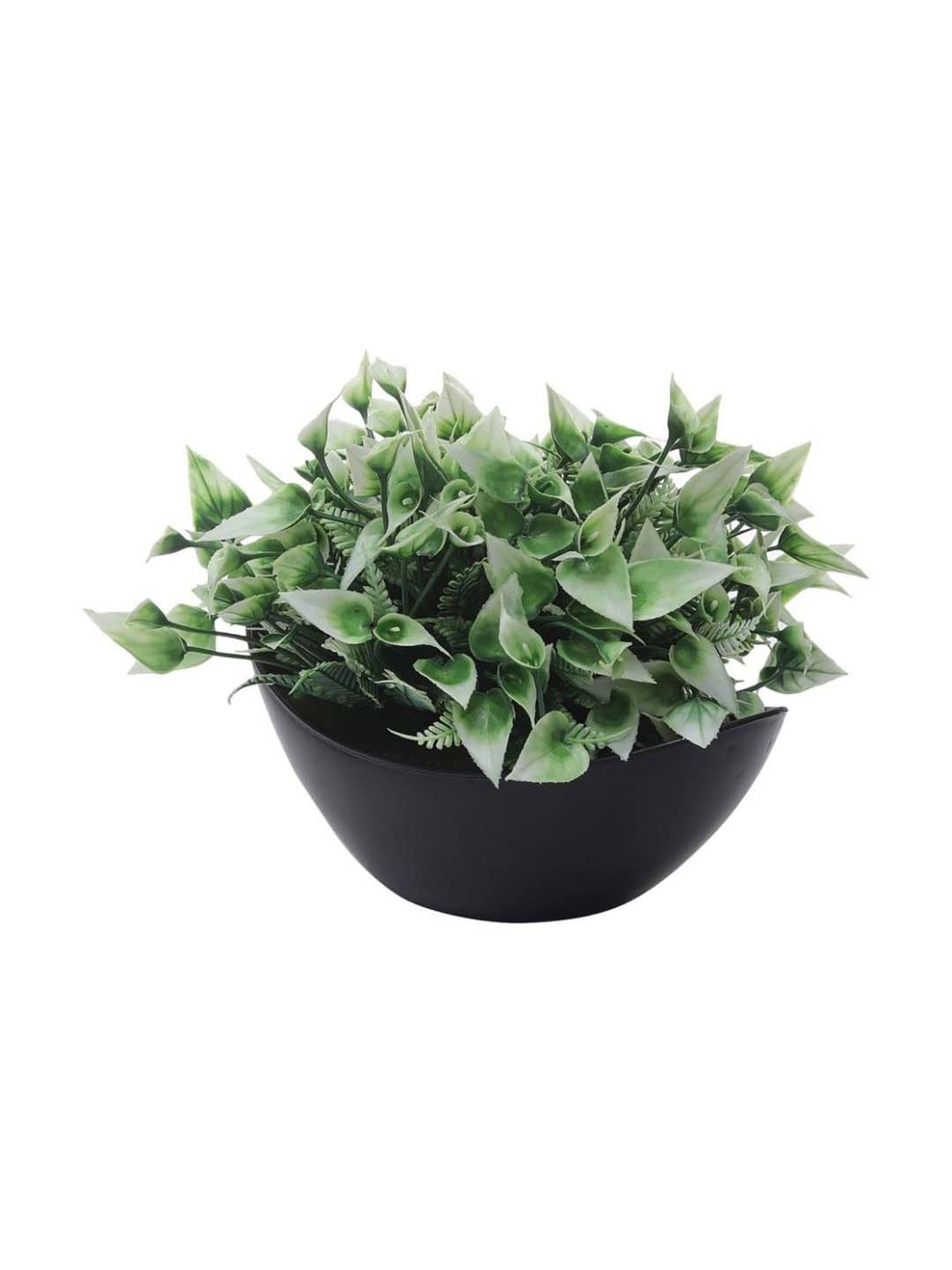 Foliyaj Green & White Plastic Artificial Plant With Leaves And Flowers