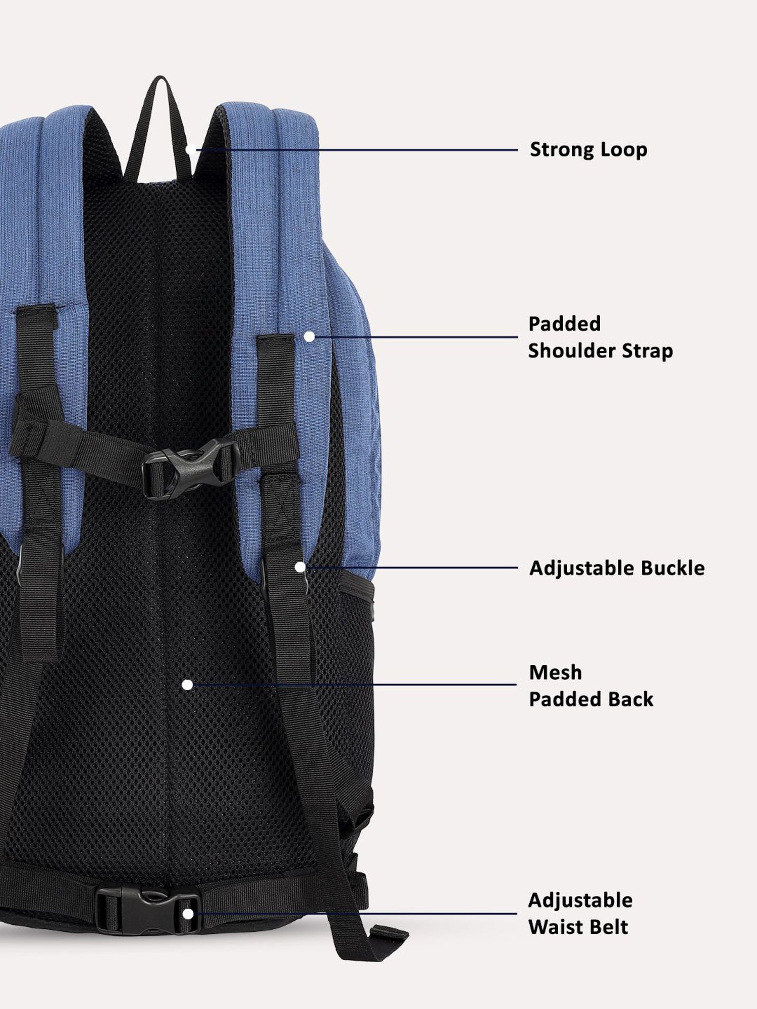 Lavie Sport 22L Edge Casual Backpack for Girls and Boys|Men & Women (Navy)