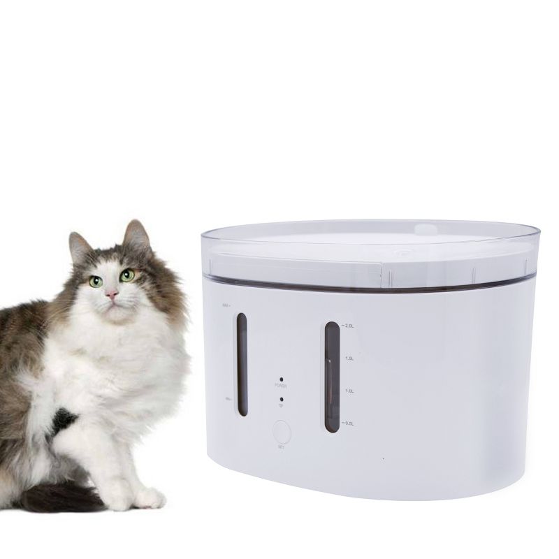 20oz Stainless Steel Vacuum Water Bottle Love is Love - Pride