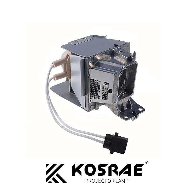 BLFU195A SP72G01GC01 Replacement Lamp Bulb for Optoma S341 W340 W341 X341 W345 W355 X355 Projector