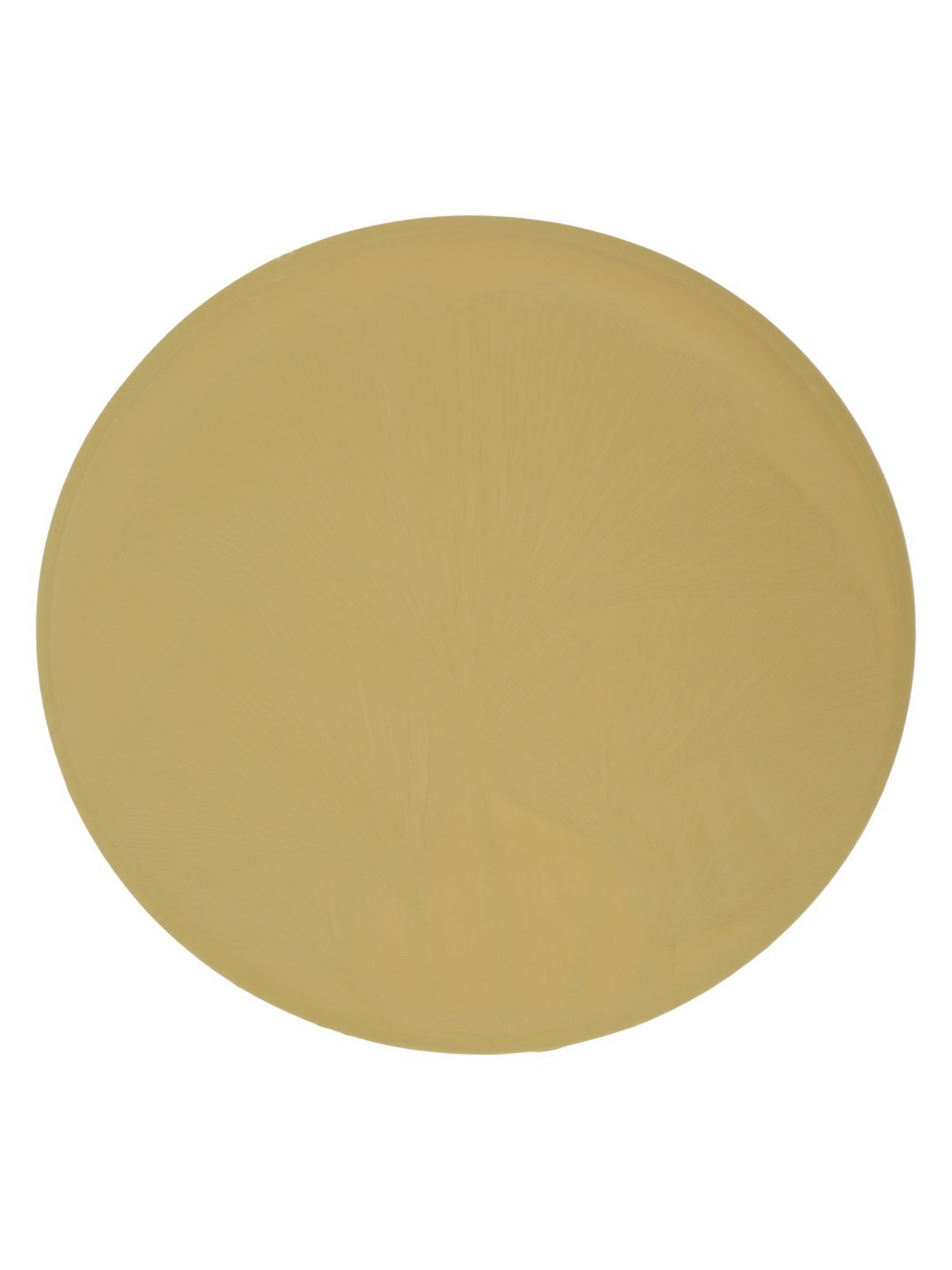 HOSTA HOMES Self Designed Printed Yellow Gold PVC Table Placemat