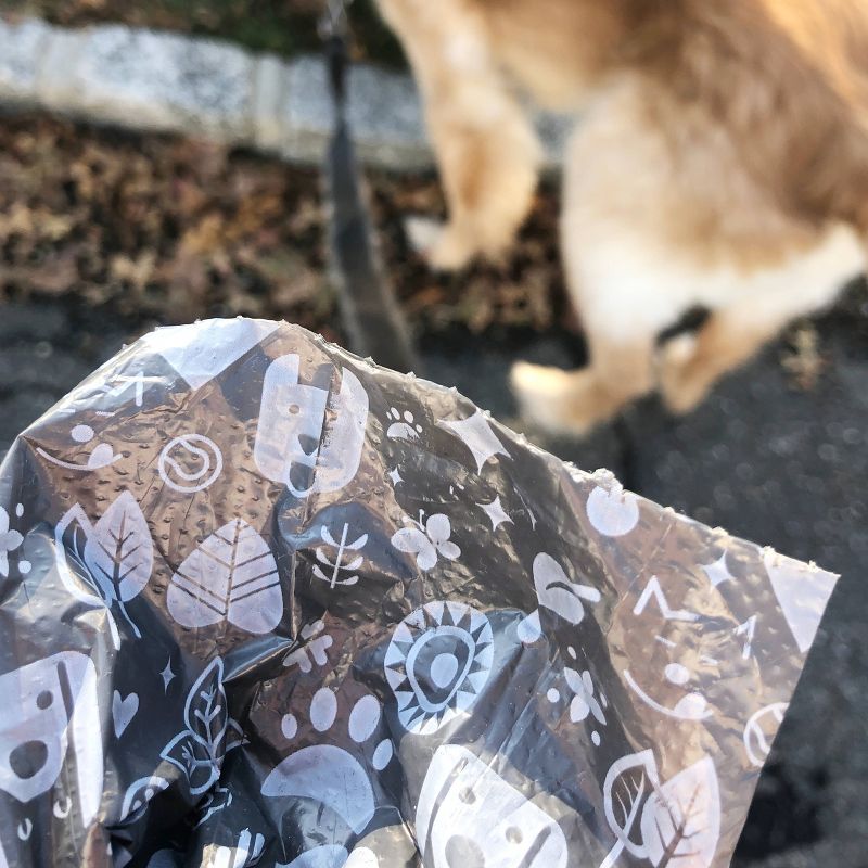 PL360 Dog Waste Bags - 540ct