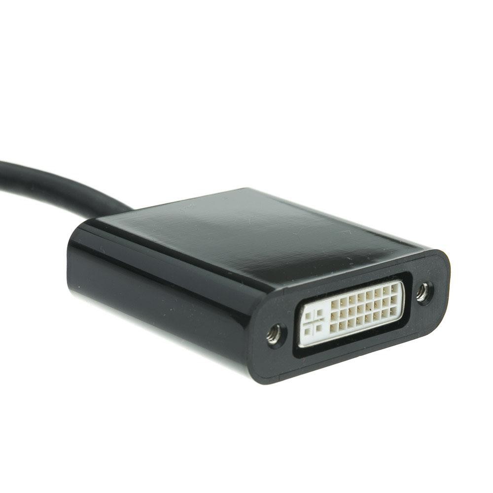DisplayPort Male to DVI F Adapter