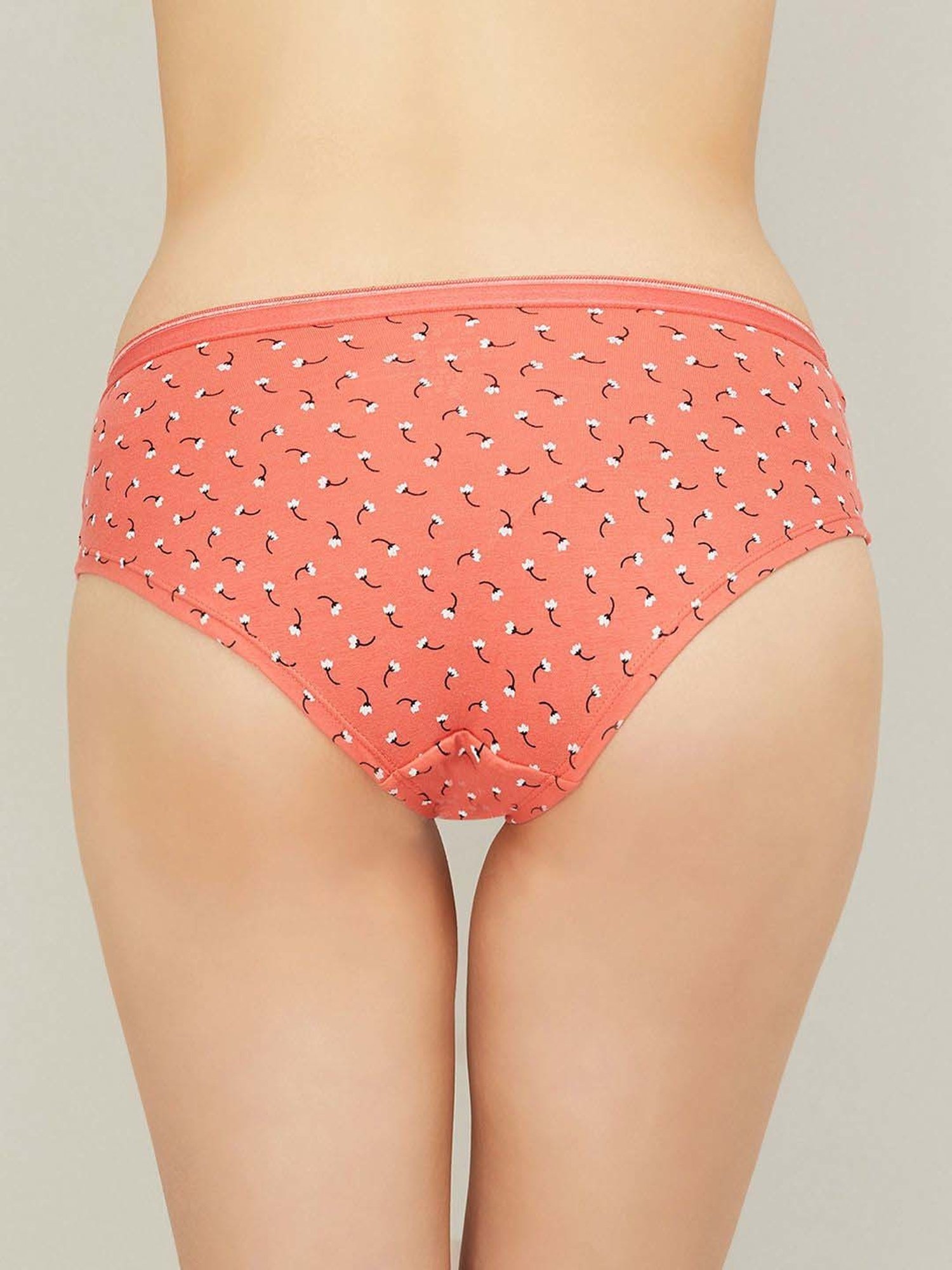 Ginger by Lifestyle Assorted Color Printed Panty - Pack Of 3
