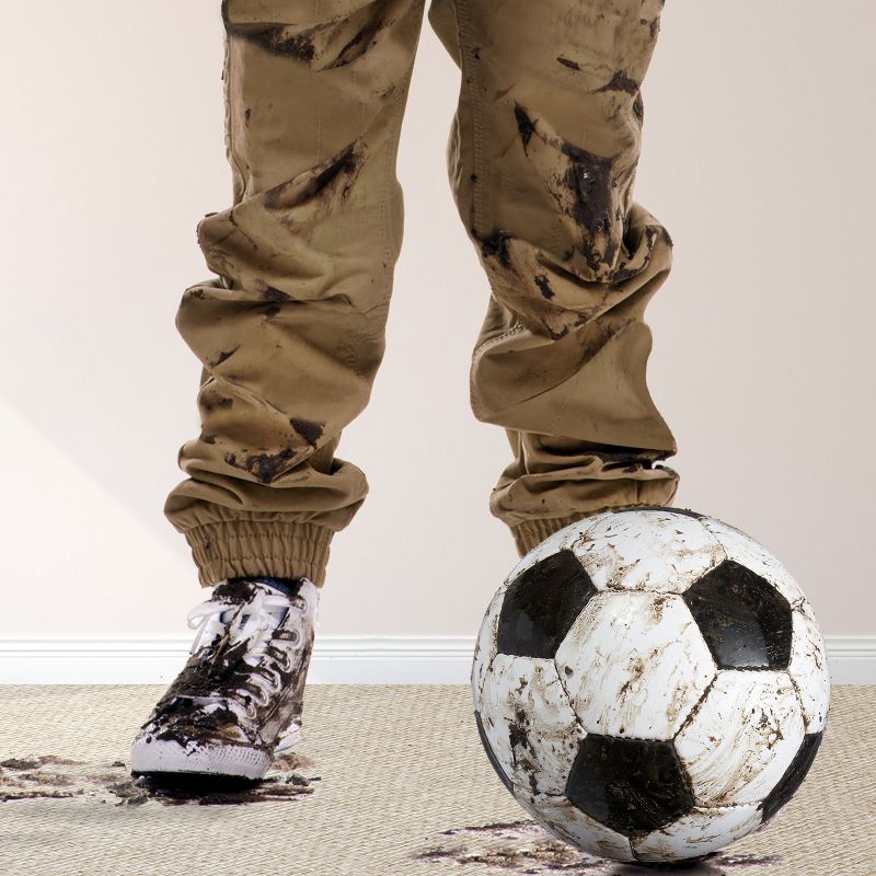 BISSELL 22 floz Oxy Stain Destroyer Pet For Carpet and Upholstery