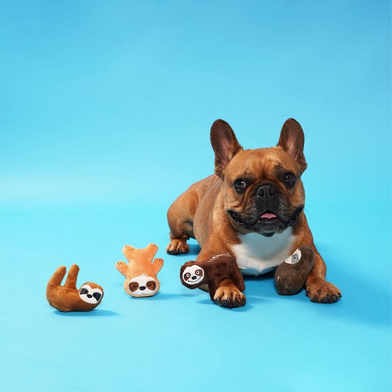 PetShop by Fringe Studio Sloth Takin it Slow Mini Dog Toy Set - 4pk