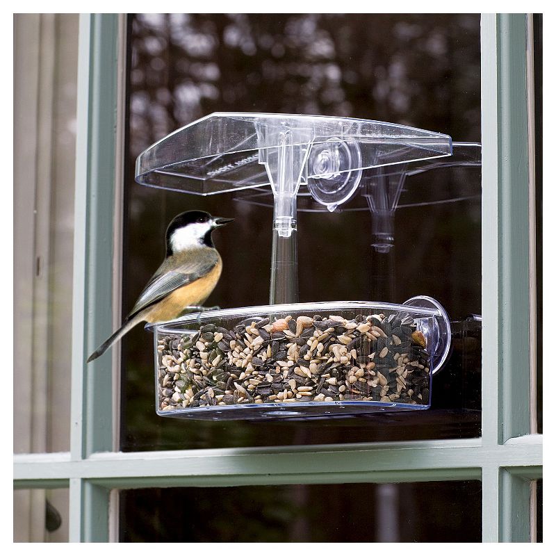Droll Yankees Observer Window Feeder
