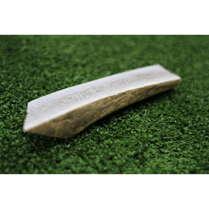 Nature Gnaws Elk Antlers 5-8" Dog Treats - 3ct