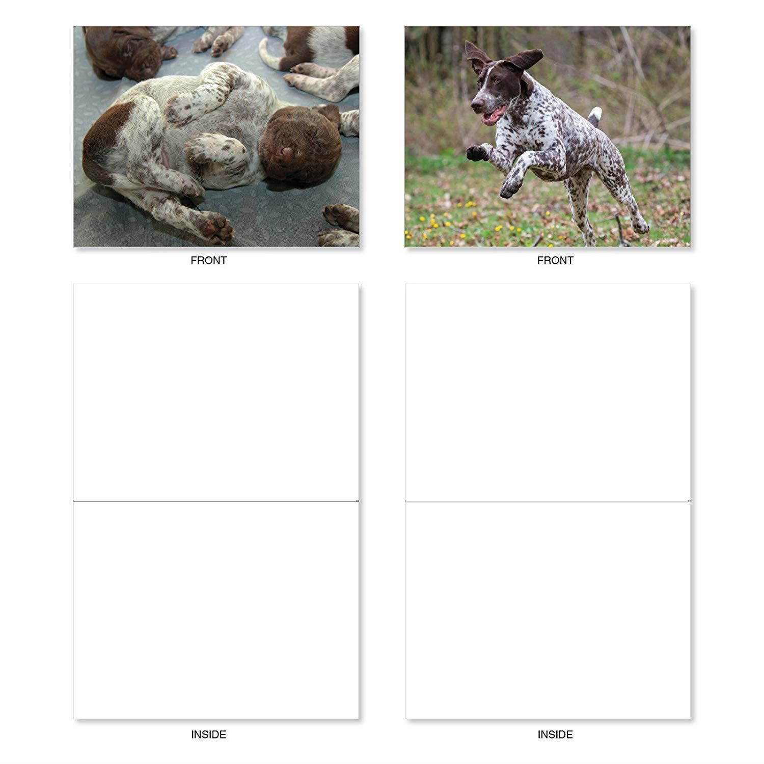 Playful Pointers - 10 Assorted Blank Note Cards with Envelopes (4" x 5-1/8") - Adorable German Shorthaired Dog Breed All-Occasion Greeting Cards - Puppy & Animal Notecard Stationery #AM6297OCB-B1x10