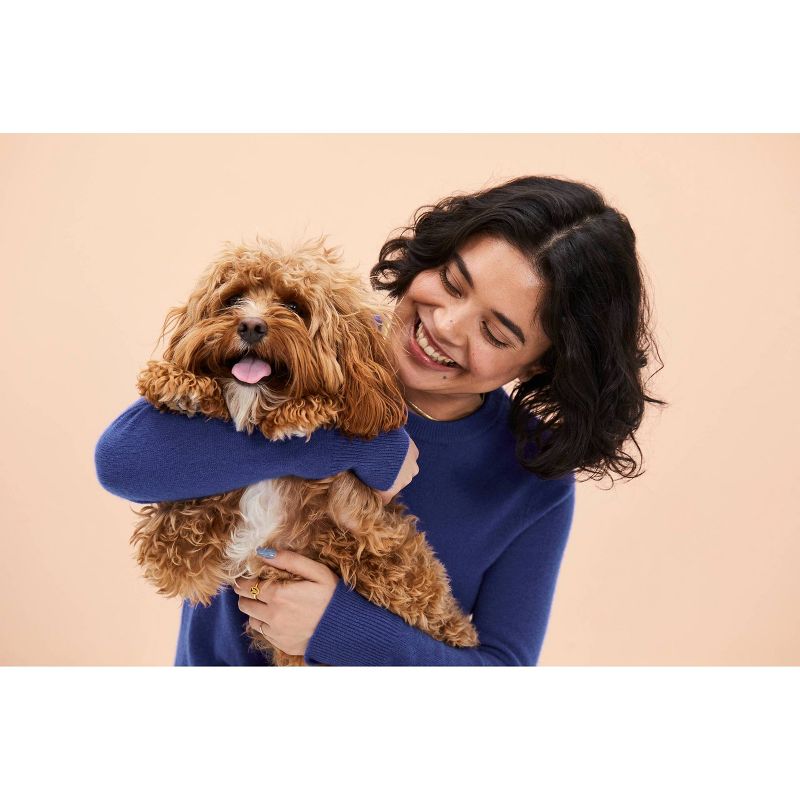 Wisdom Panel Essential for Ancestry Traits Dog DNA Test