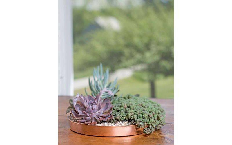 Medium Round Copper Plant Tray, 12 - GARDENER'S SUPPLY CO.