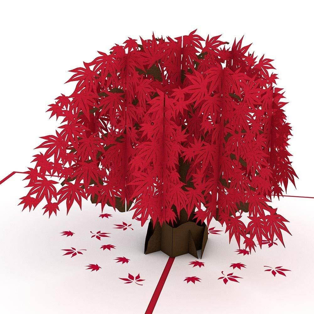 Lovepop Japanese Maple Pop Up Card, 3D Card, Tree Card, Nature Card, Foliage Card, Fall Card