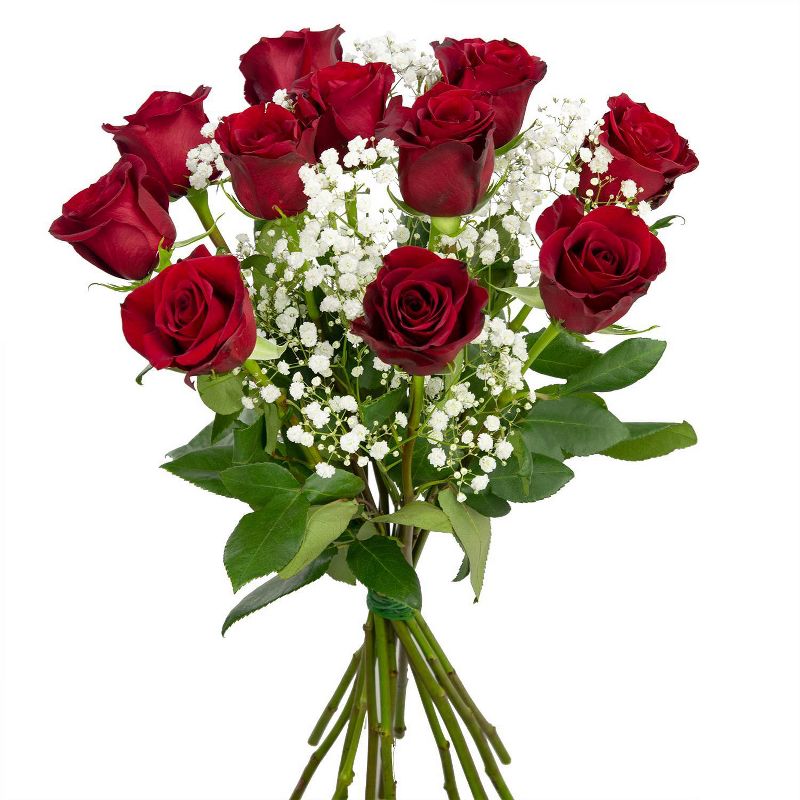 Colour Republic Red Rose + Gypsophila Bouquet