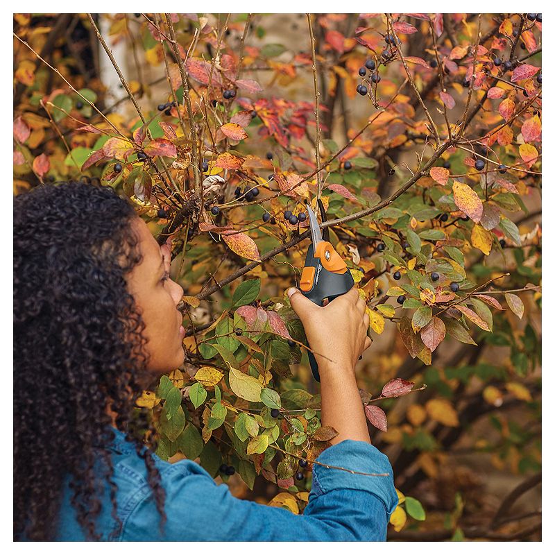 Picnic at Ascot Eco Gardening Tote with 3 Tools - Forest Green