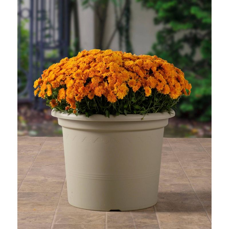 11.75" x 15.5" Indoor/Outdoor Resin Geo Planter Green - Alfresco Home LLC