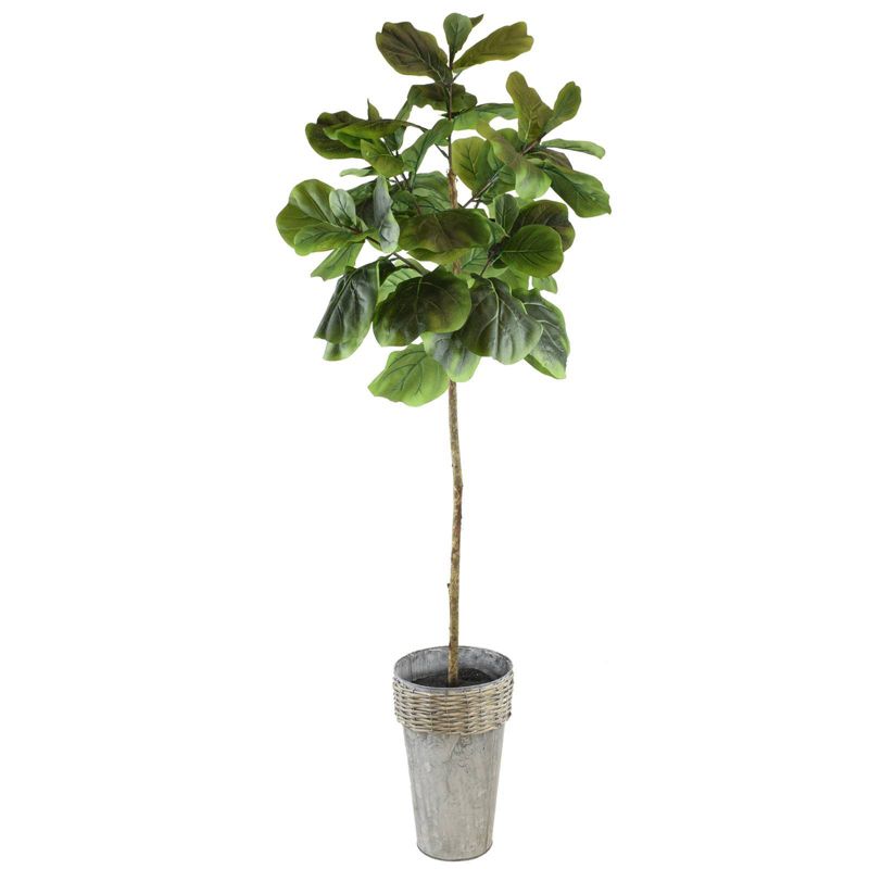 68" x 18" Artificial Fig in Galvanized Pot - LCG Florals