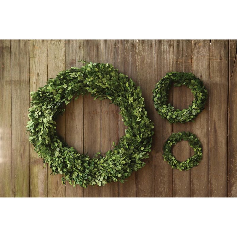 Dried Boxwood Wreath - 3R Studios