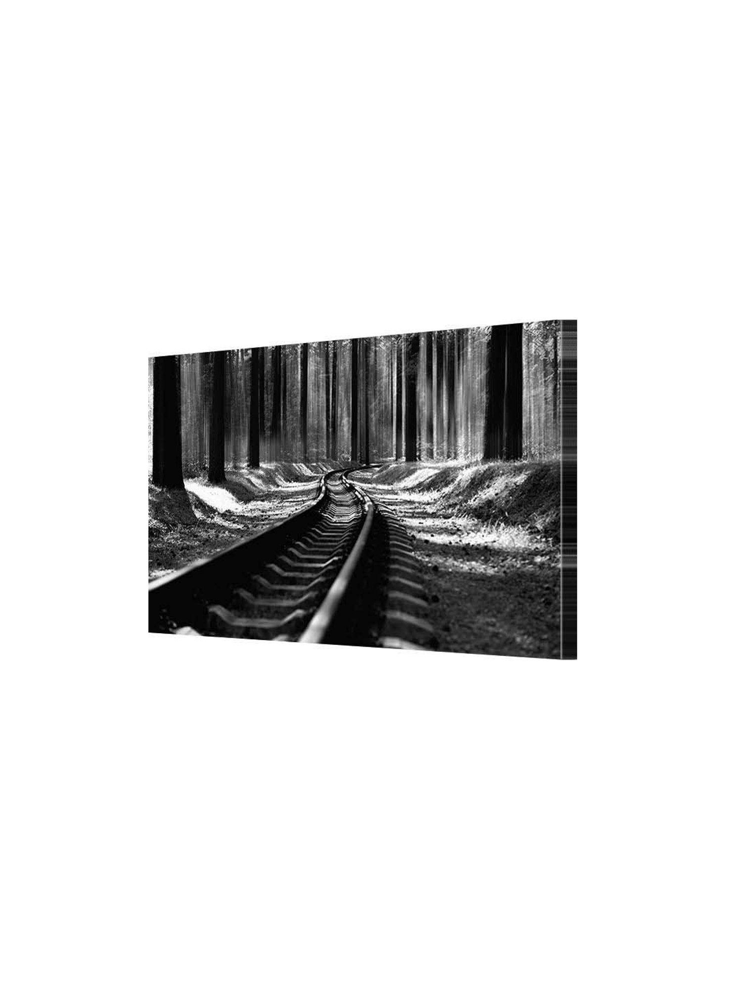 999store Black & Grey Railroad Track In Forest Canvas Painting