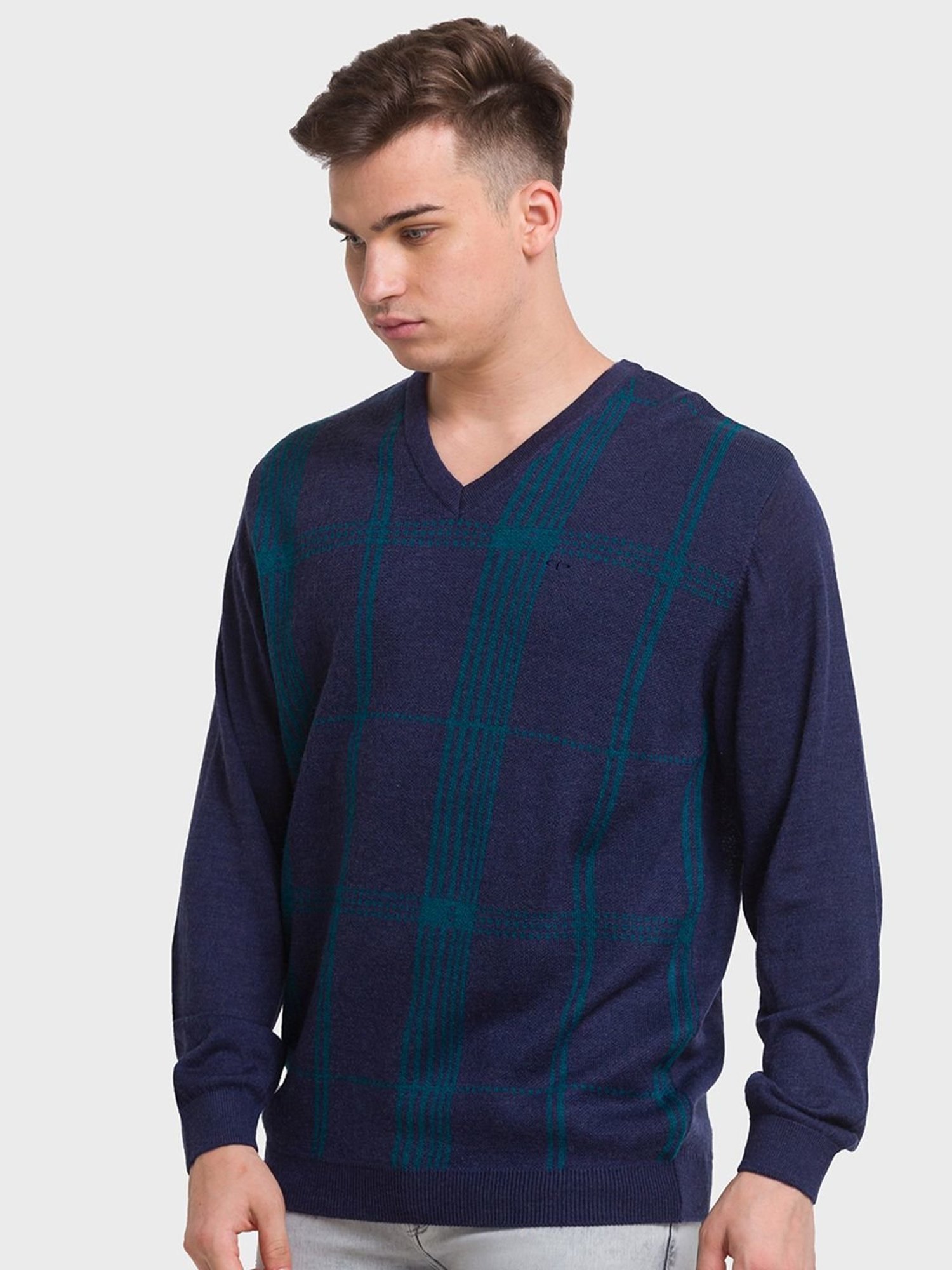 ColorPlus Blue Tailored Fit Checks Sweaters