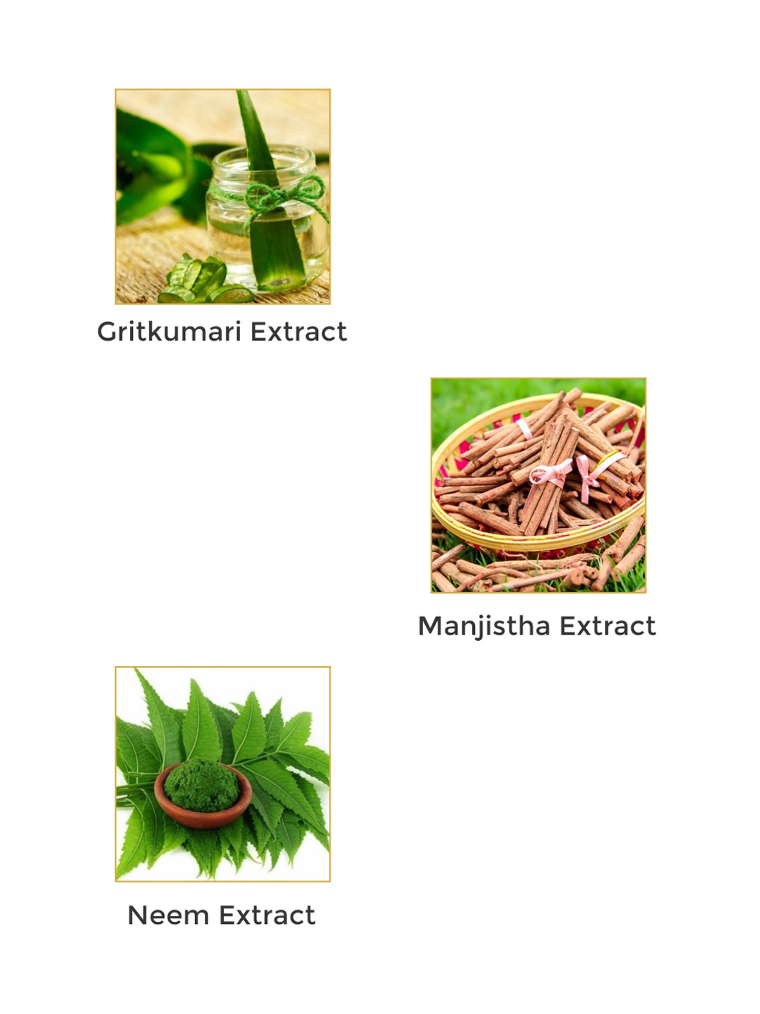 Vegetal Tea Tree Facewash - 100 ml