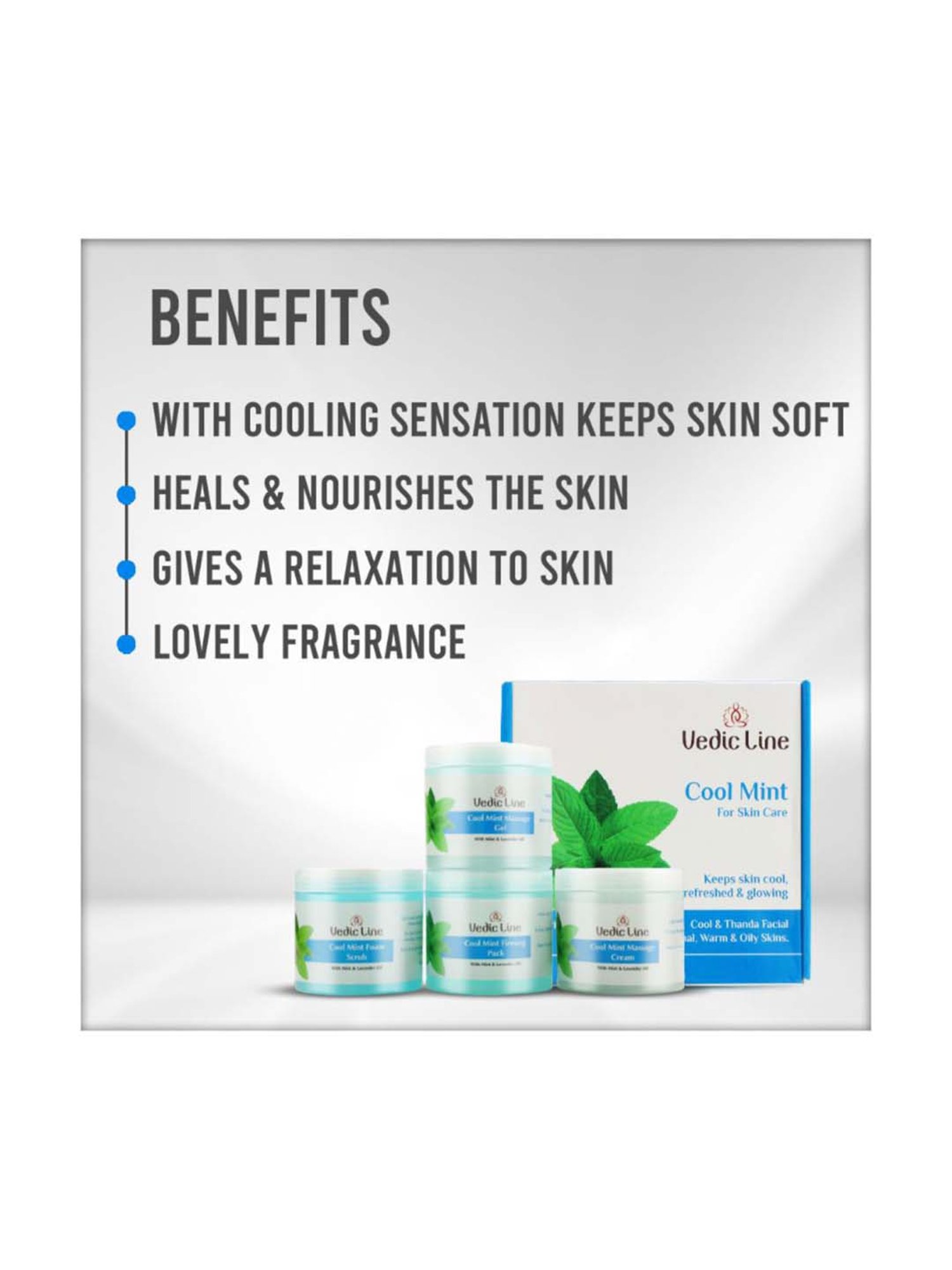 VEDIC LINE Cool Mint Facial Kit
