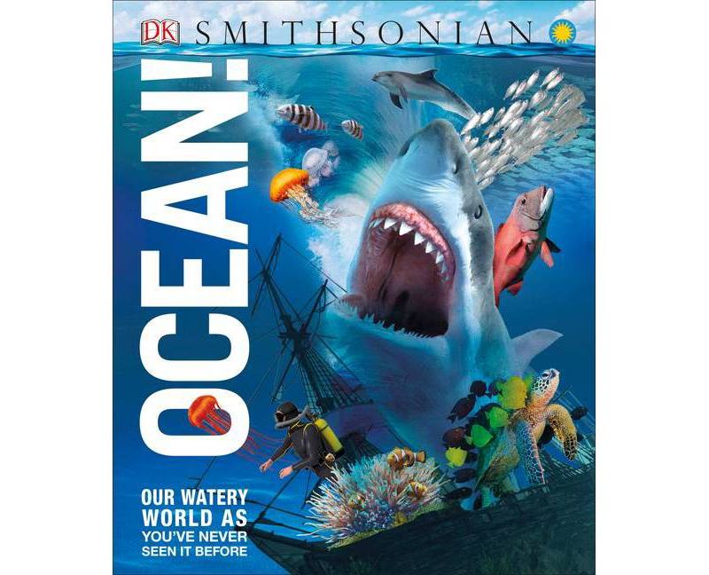 Ocean! - (Knowledge Encyclopedias) (Hardcover)