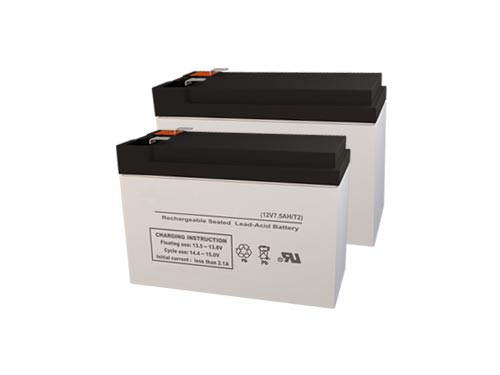 APC BR1000 UPS Replacement Batteries - Pack of 2