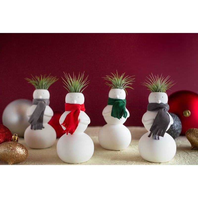 LiveTrends Magic Suede - 3pk