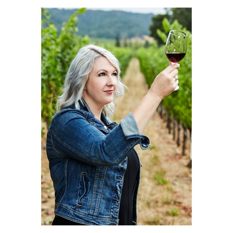 Dark Horse Cabernet Sauvignon Red Wine - 750ml Bottle