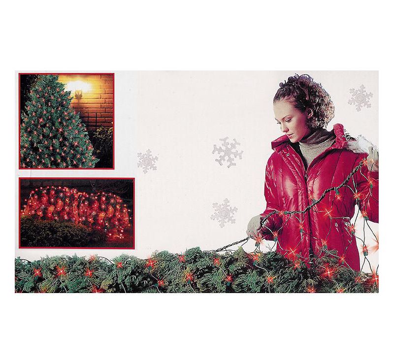 J. Hofert Co 4' x 6' Mini Net Style String Lights Red - Green Wire