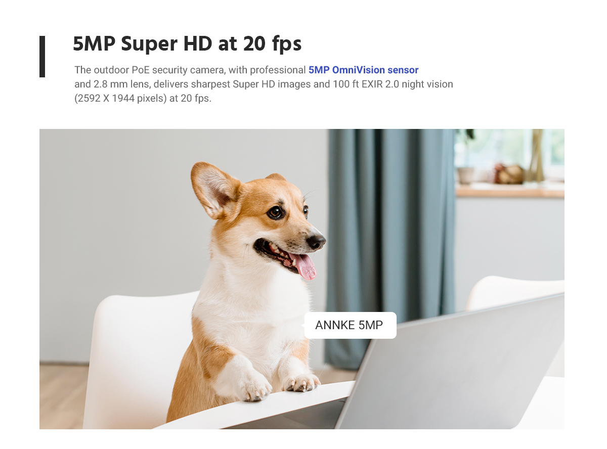 ANNKE 8CH NVR Video Surveillance System 5MP PoE Turret Security Cameras System For Home Indoor Outdoor - 2TB HDD