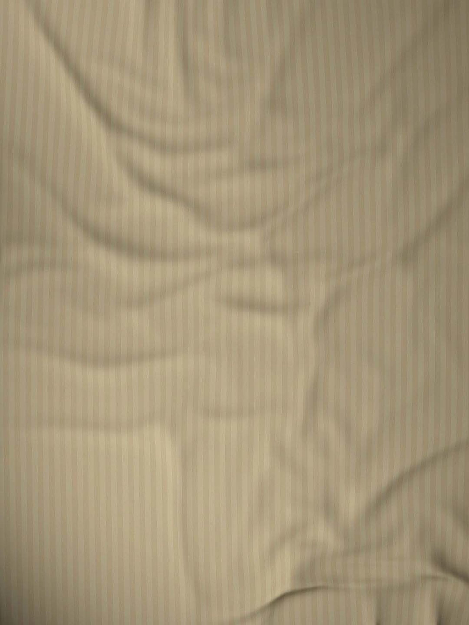 Dreamscape Khaki Cotton 220 TC King Bedsheet with 2 Pillow Covers