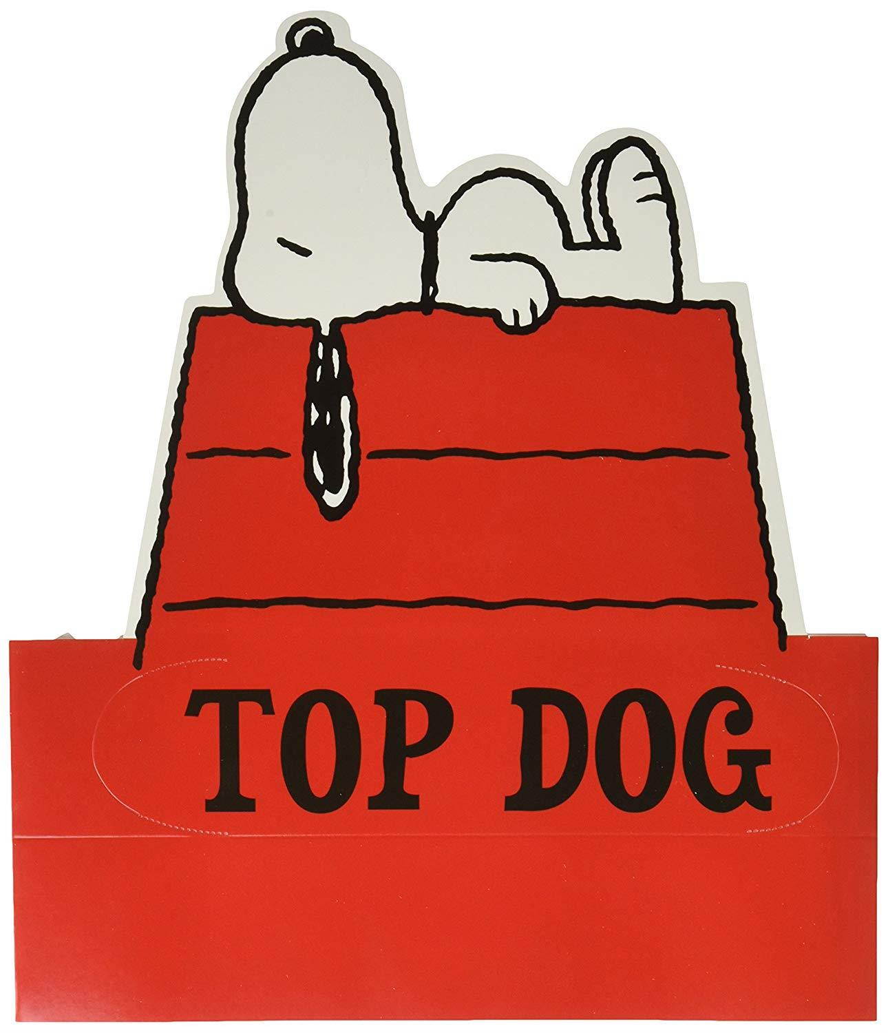 Eureka Peanuts Snoopy Top Dog Wearable Cut Out Hats, 32 Hats, Approx 8" Tall