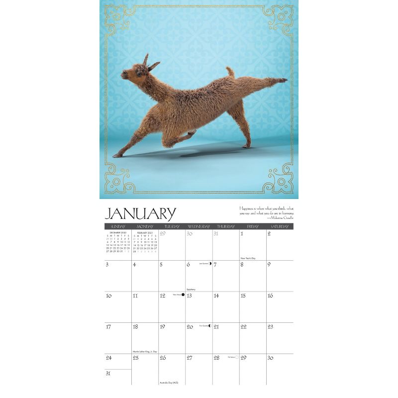 2021 Monthly Wall Calendar Llama Yoga - Willow Creek Press