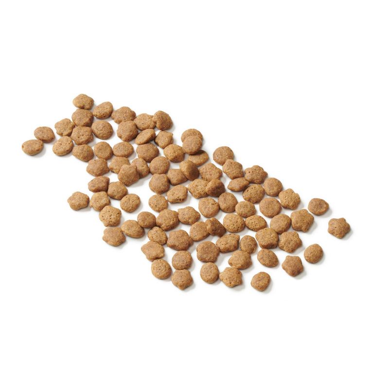 Purina Cat Chow Naturals Grain Free with Chicken Adult Complete & Balanced Dry Cat Food - 6.3lbs