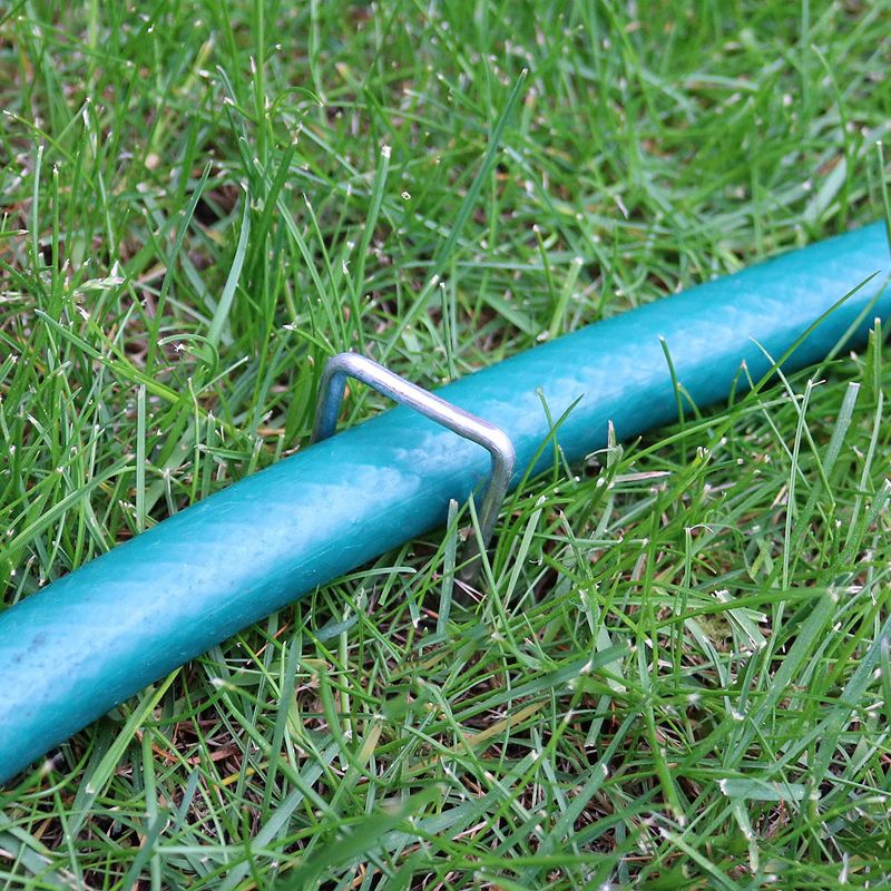 Enchanted Woods Border Edging - GARDENER'S SUPPLY CO.