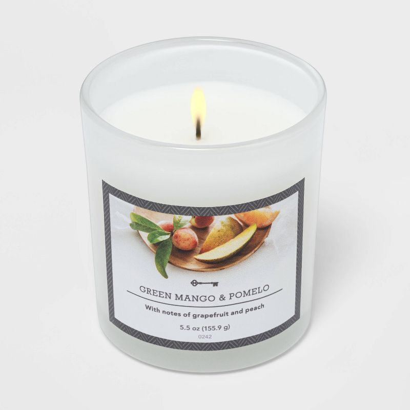 8.5oz Global Terracotta Jar Bohemian Lotus Candle - Opalhouse™