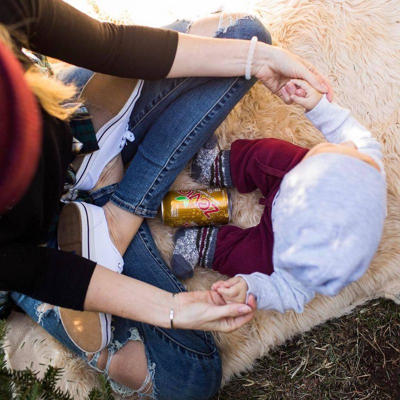 Zevia Cream Soda Zero Calorie Soda - 6pk/12 fl oz Cans