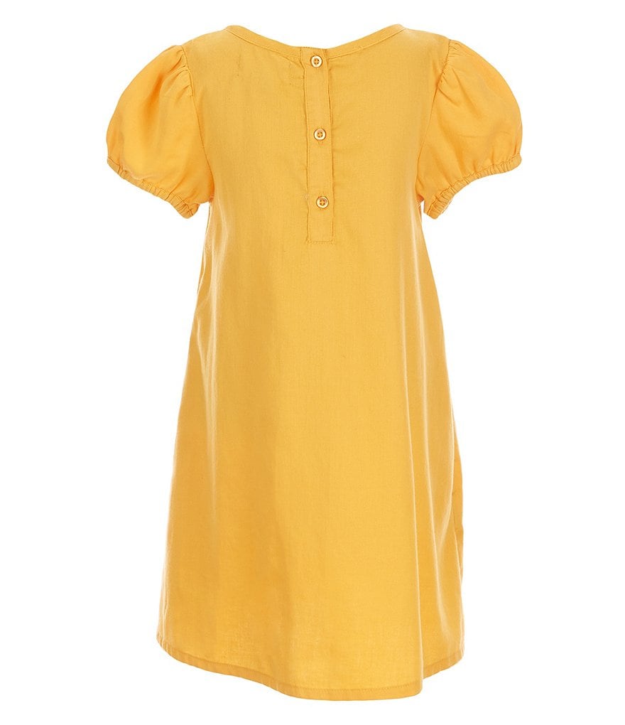 Peek Little/Big Girls 2T-12 Embroidered Chambray A-Line Dress